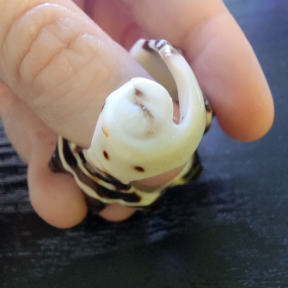 Carved Natural Shell Ring Brown and Cream Women's Appx Size 7 - Picture 9 of 9